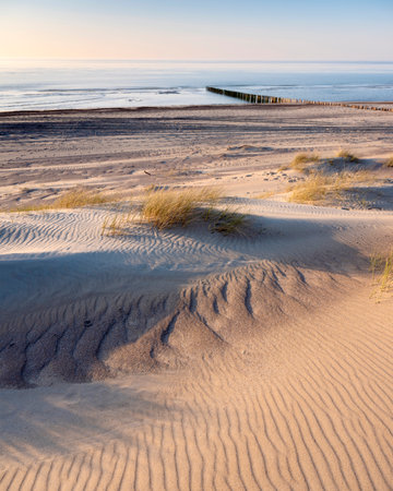 sand dunes and deserted beach on the dutch coast of north sea in province of Zeeland under blue sky in springの写真素材