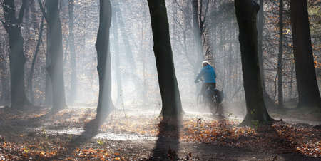 woman rides bike on track in winter forest against beautiful sunlight in foggy conditionsの写真素材
