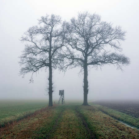 high seat for hunting in green winter field near utrecht in the netherlands on misty winter dayの写真素材
