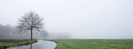 trees along canal near forest in dutch province of utrecht on misty winter dayの写真素材