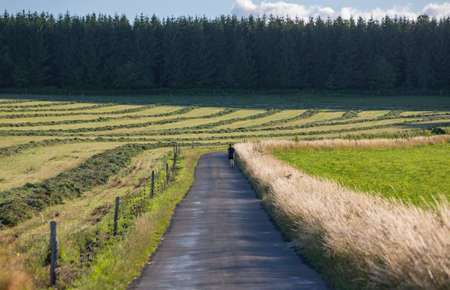 lonely jogger in belgian countryside in province of namur near forest oncountry roadの写真素材