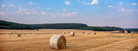 lorraine landscape in the north of france with straw bales under blue summer sky