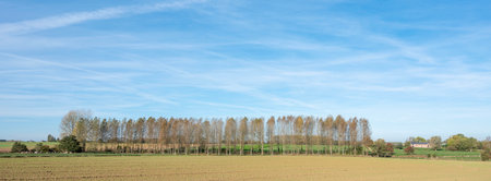rural countryside landscape with trees south of city of mons or bergen in belgiumの写真素材