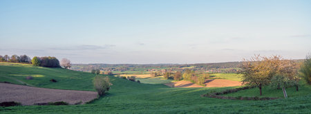 landscape of fields, meadows and forest near maastricht in dutch province of south limburgの写真素材