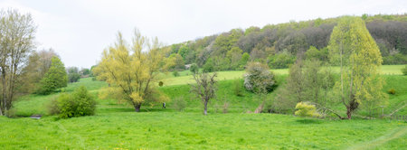 gulpdal with hiking trail in spring near slenaken in south limburgの写真素材
