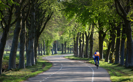 soest, netherlands, april 27, 2023: man on racing bicycle on road between beech trees in spring near soest in hollandの写真素材