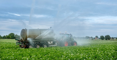 tractor with sprinkler on potatoe field irrigates dry soil in belgium near brugge and oostendeの写真素材