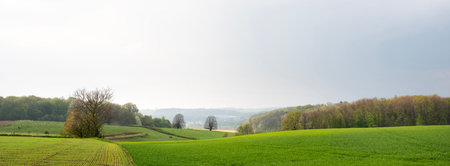 landscape of fields, meadows and forest near maastricht in dutch province of south limburgの写真素材