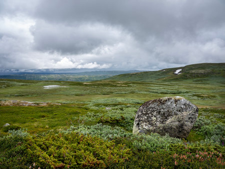 rock in hallingskarvet national park of norwayの写真素材