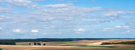 open rural landscape near Tanay and dijon in the saone valleyの写真素材