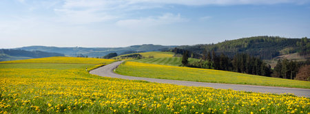 blue sky over spring countryside in german sauerland with trees and blooming fields of dandelionsの写真素材