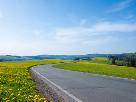 blue sky over spring countryside in german sauerland with trees and blooming fields of dandelionsの写真素材