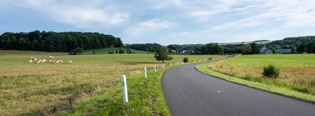 quiet country road winds through countryside of french ardennes at sunsetの写真素材
