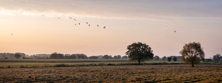 rural countryside between boxmeer and maashees in north brabant at sunrise