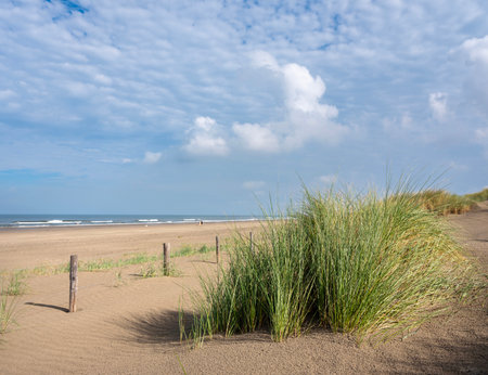 blue sky and clouds over dunes with marram grass at north sea beach in the netherlandsの写真素材