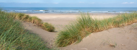 blue sky and clouds over dunes with marram grass at north sea beach in the netherlandsの写真素材