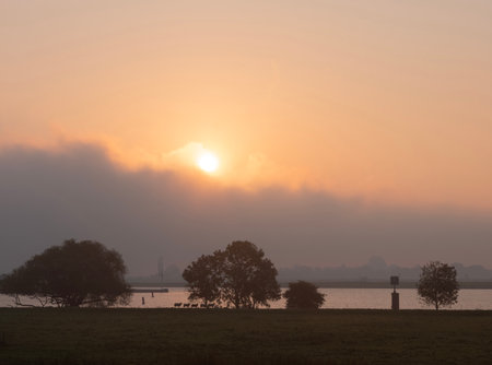 sunrise backlight shows silhouettes of trees and sheep near river rhine in the netherlandsの写真素材