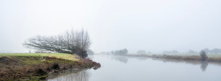 wintry nature landscape in floodplanes of river rhine with moors and meadows near amerongen in dutch province of utrechtの写真素材