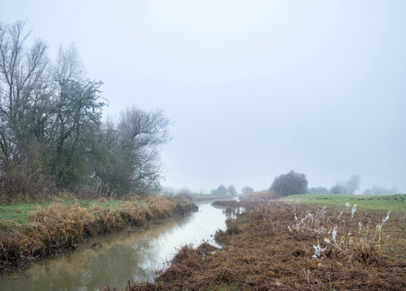 wintry nature landscape in floodplanes of river rhine with moors and meadows near amerongen in dutch province of utrechtの写真素材