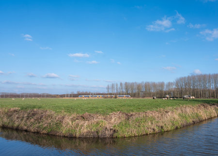 Blue winter sky over meadow landscape near Houten and Utrecht with sheep and train in the Netherlandsの写真素材