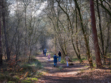 Zeist, Netherlands, March 3, 2025: family walks in winter forest near Utrecht in the Netherlandsの写真素材