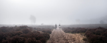 two women on horseback ride in forest area of Den Treek near amersfoort in the netherlands on misty winter morningの写真素材