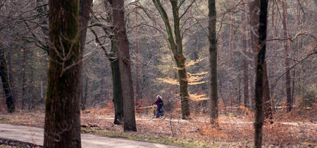 bike riding woman on bicycle path in dutch winter forest ner utrecht in hollandの写真素材