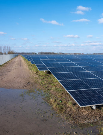 solar panel field under blue sky with fluffy clouds in dutch area near utrecht in the netherlandsの写真素材