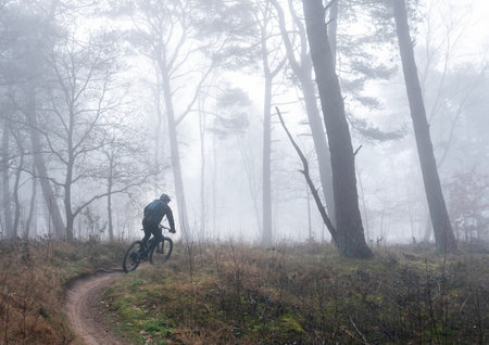 cyclist on mountain bike in morning fog on heath in dutch province of utrecht near amersfoot and leusder heiの写真素材