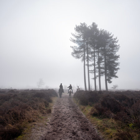 two women on horseback ride in forest area near amersfoort in the netherlands on misty winter morningの写真素材