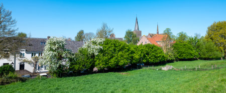 blossoming trees in spring at fortified city of wijk bij duurstede in dutch province of utrecht under blue skyの写真素材