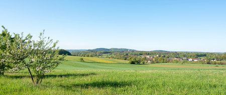 rural landscape with fresh spring colors on trees and fields in german nature park saar-hunsrueck under blue skyの写真素材