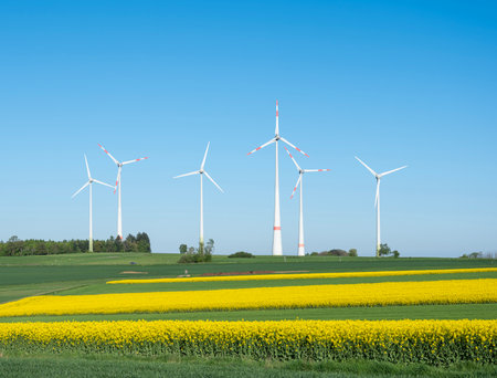 German countryside with wind turbines and rapeseed fields under blue sky in Saarland in spring at sunsetの写真素材