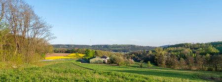 house in rural landscape with rapeseed field in german national park of saar hunsrueck under blue sky in spring between Saarbrucken and Trierの写真素材
