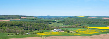 fields with dandelions and rapeseed color yellow in spring near reisdorf in luxembourgの写真素材