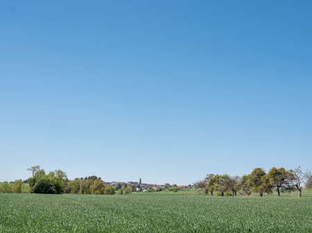 spring time shows flowers and fresh colors of fields and meadows in rolling hills of Luxembourg countrysideの写真素材