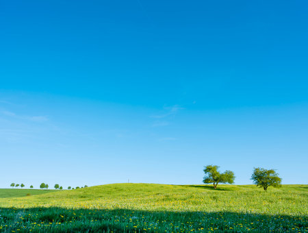 spring time shows flowers and fresh colors of fields and meadows in rolling hills of Luxembourg countrysideの写真素材