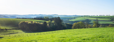 spring time shows flowers and fresh colors of fields and meadows in rolling hills of Luxembourg countrysideの写真素材