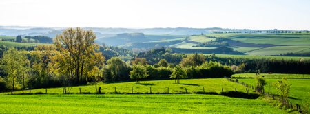 spring time shows flowers and fresh colors of fields and meadows in rolling hills of Luxembourg countrysideの写真素材