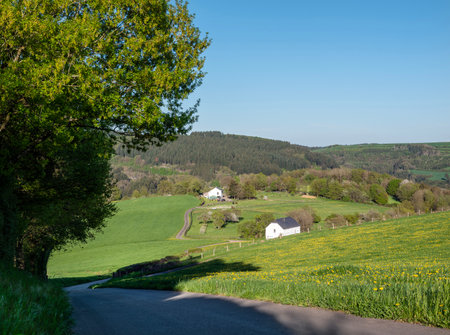 spring time shows flowers and fresh colors of fields and meadows in rolling hills of Luxembourg countrysideの写真素材