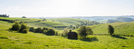 spring time shows flowers and fresh colors of fields and meadows in rolling hills of Luxembourg countrysideの写真素材
