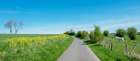 spring time shows flowers and fresh colors of fields and meadows in rolling hills of Luxembourg countrysideの写真素材