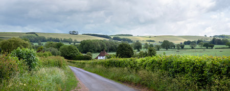 country road in rural countryside with house near north downs in kent on spring dayの写真素材