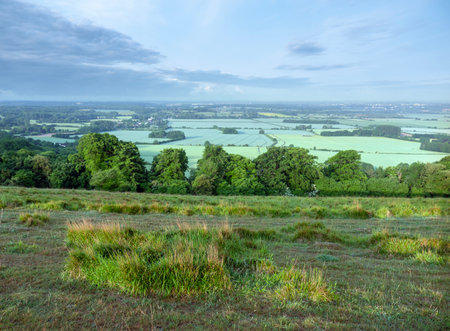 beautiful green landscape of north downs near ashford and wye valley in english county of kent in early morning light late springの写真素材