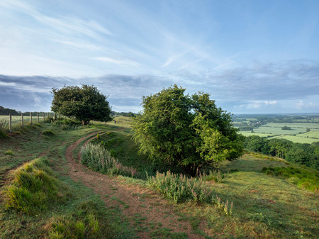 beautiful green landscape of north downs near ashford and wye valley in english county of kent in early morning light late springの写真素材