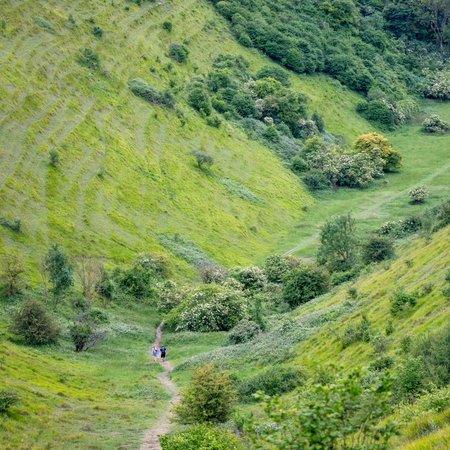 couple jogs in The Devil's Kneading Trough which is part of kent downs on summer day early juneの写真素材