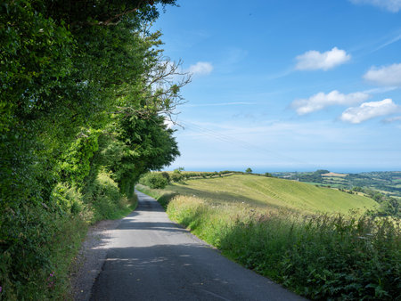 white clouds and blue sky over dorset country road on summer day with flowers and fields