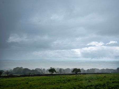 national park dartmoor in the UK is a wonderful nature reserve with hills, tors and wild nature...