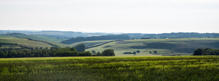the sun shines in spring on grassy hills and trees in countryside landscape of south dorset in south englandの写真素材
