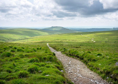hiking track near nuns farm in the middle of dartmoor national park under blue sky late springの写真素材
